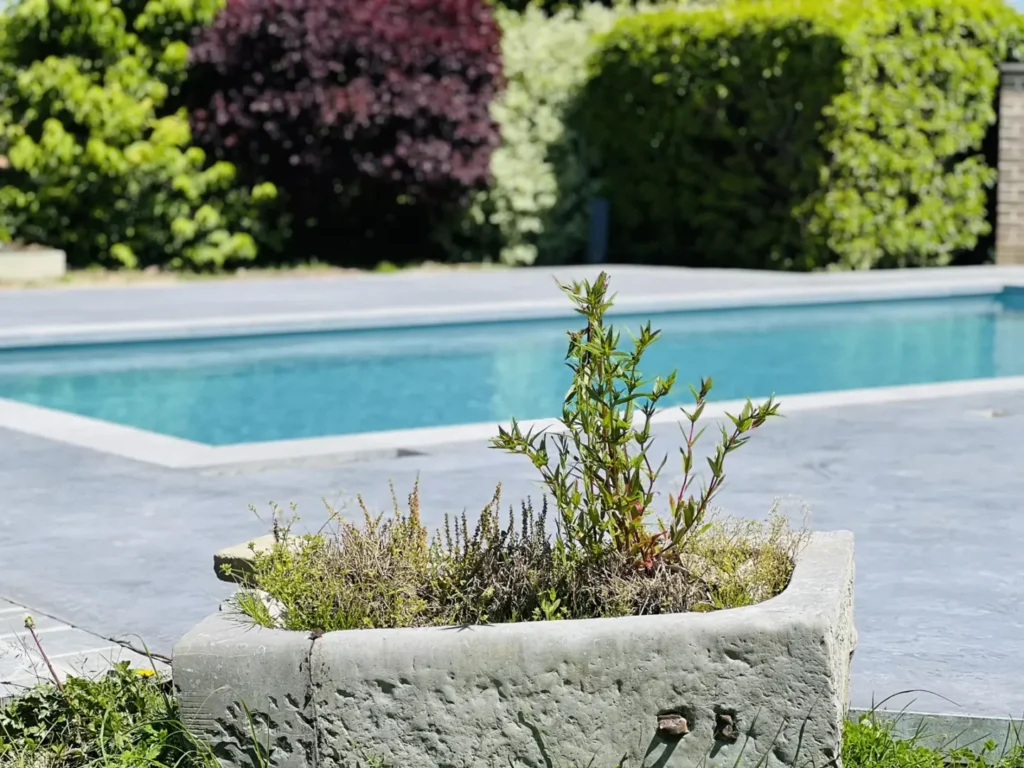 Détail des finitions et de la clarté de l'eau d'une piscine Ligne d'Ô.